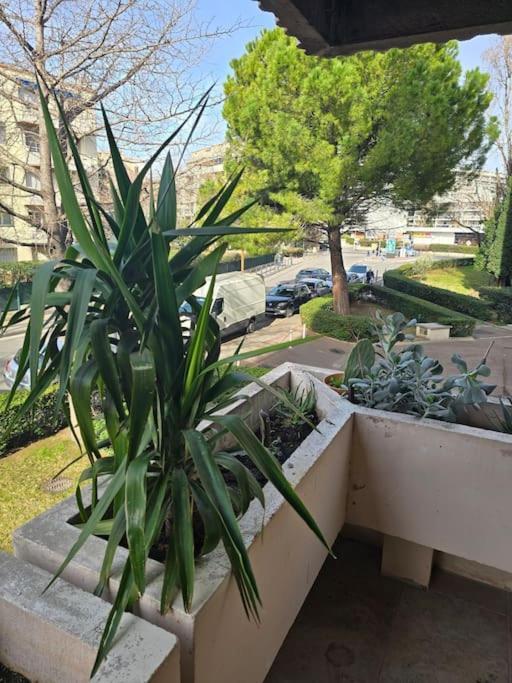 L'Appart' Marseille Eksteriør bilde